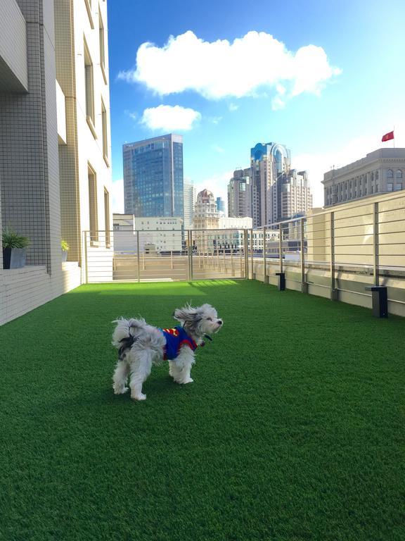 فندق فنددق نيكو سان فرانسيسكو المظهر الخارجي الصورة Artificial grass for dogs